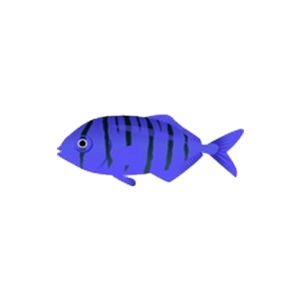 Blue Mini Pilotfish